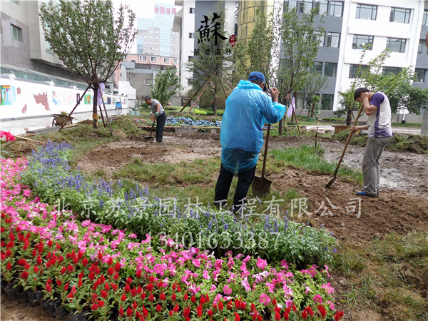 施工現(xiàn)場圖09