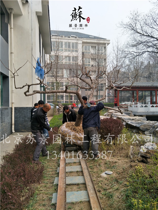 施工現(xiàn)場圖08